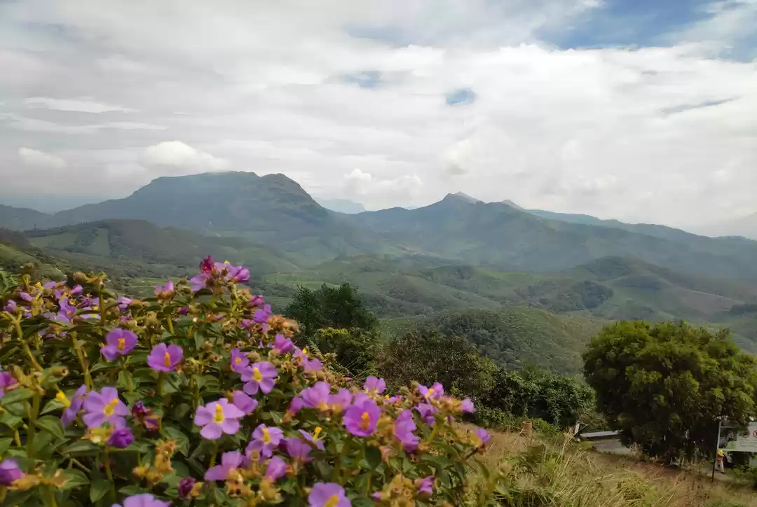 Photo of Not all Nomads go to