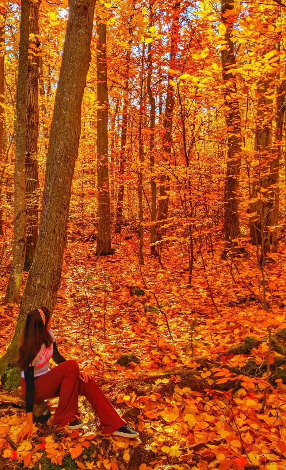 Photo of Fall getaways few ho