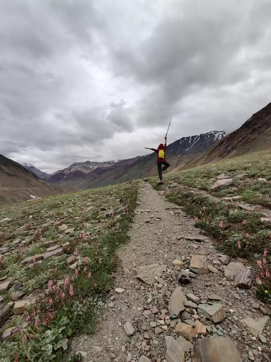 Photo of Pin Bhabha Pass: wha