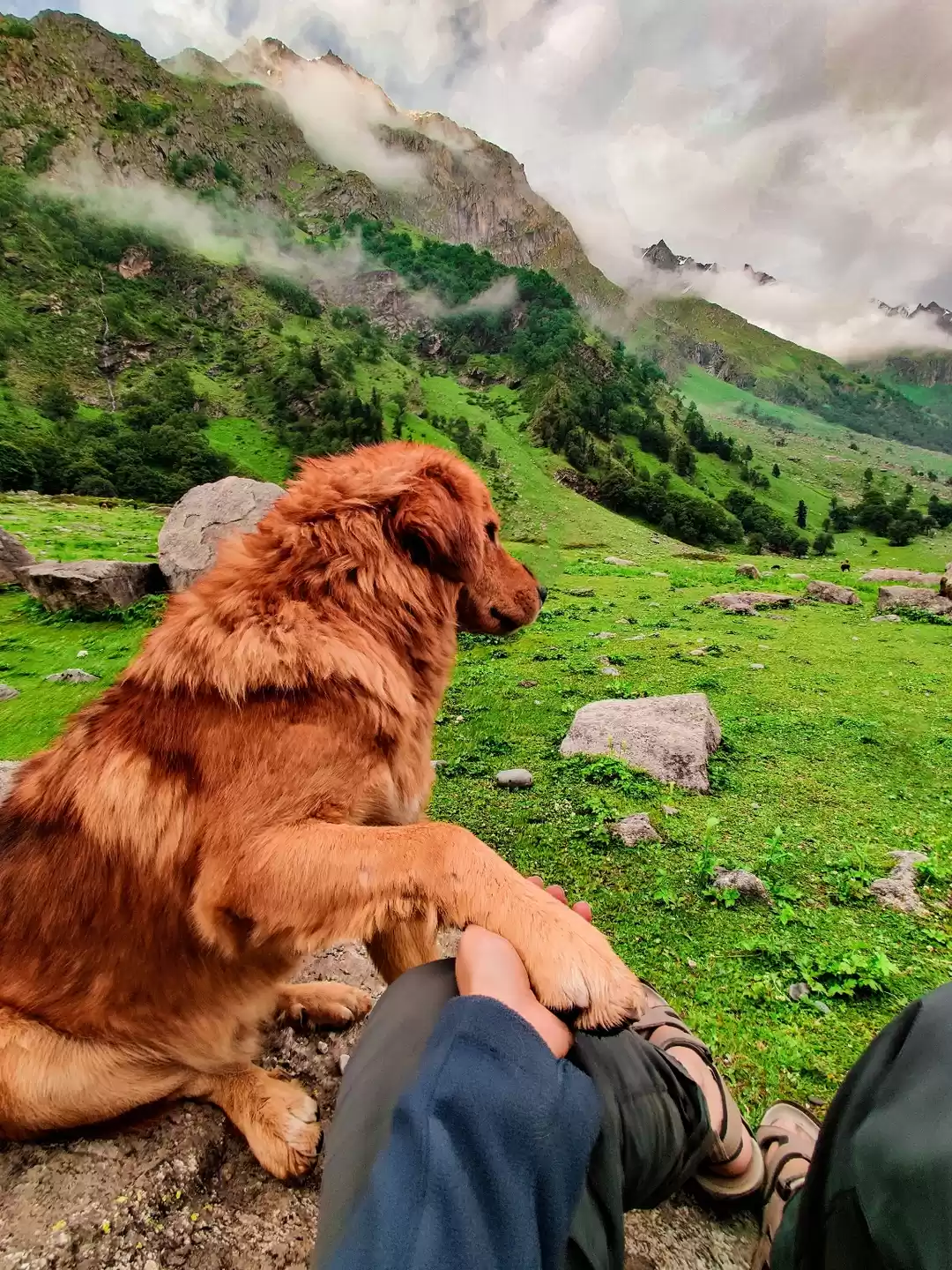 Photo of My su-paw-star #Moun