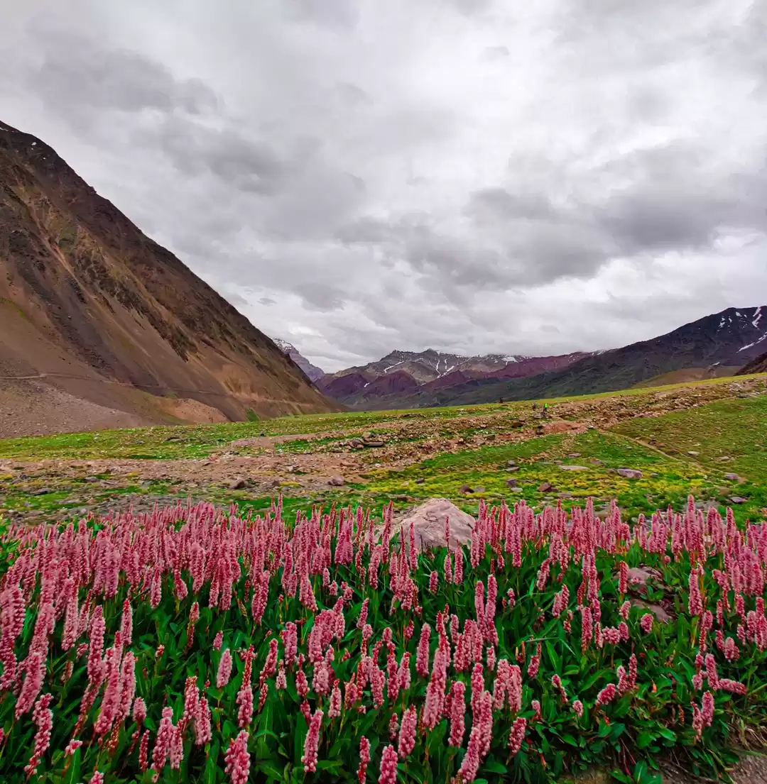 Photo of Mudh Village #SpitiV
