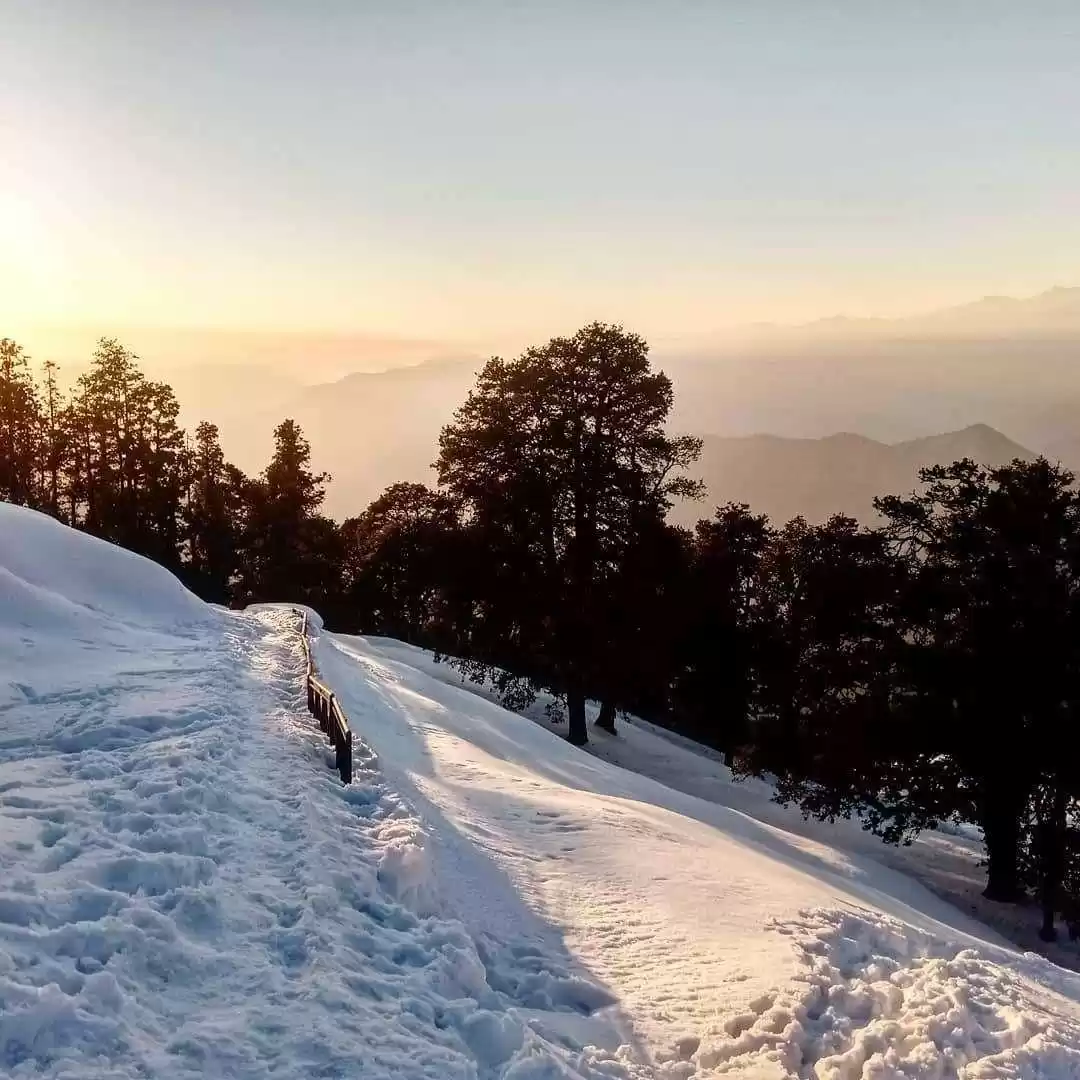 Auli- Malari- Tapovan- Chopta- Rishikesh