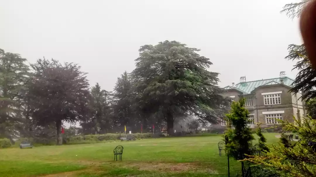 Photo of Chail: Near to Shiml