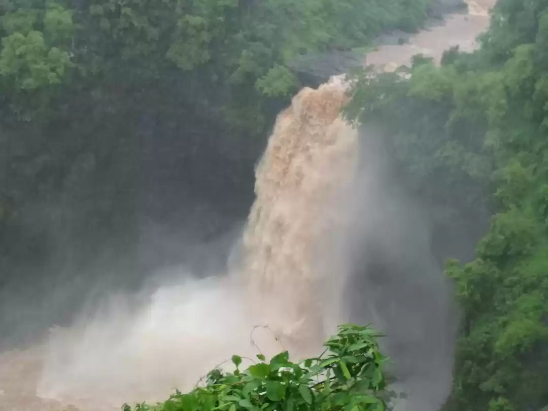 Photo of Dabhosa - Monsoon He