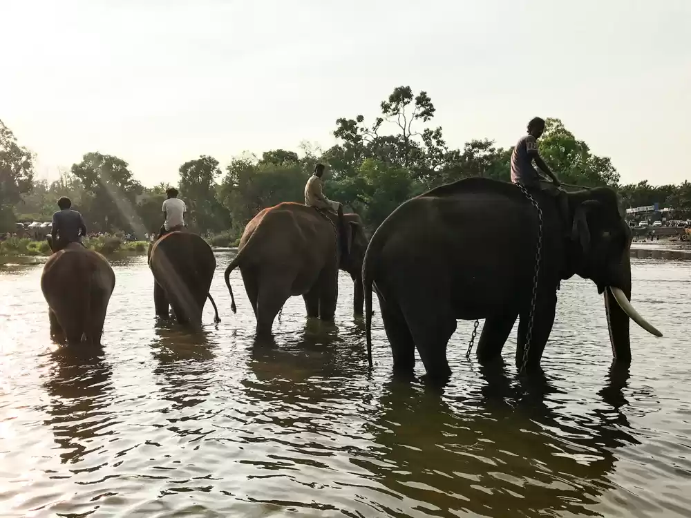Photo of Scotland in India : 