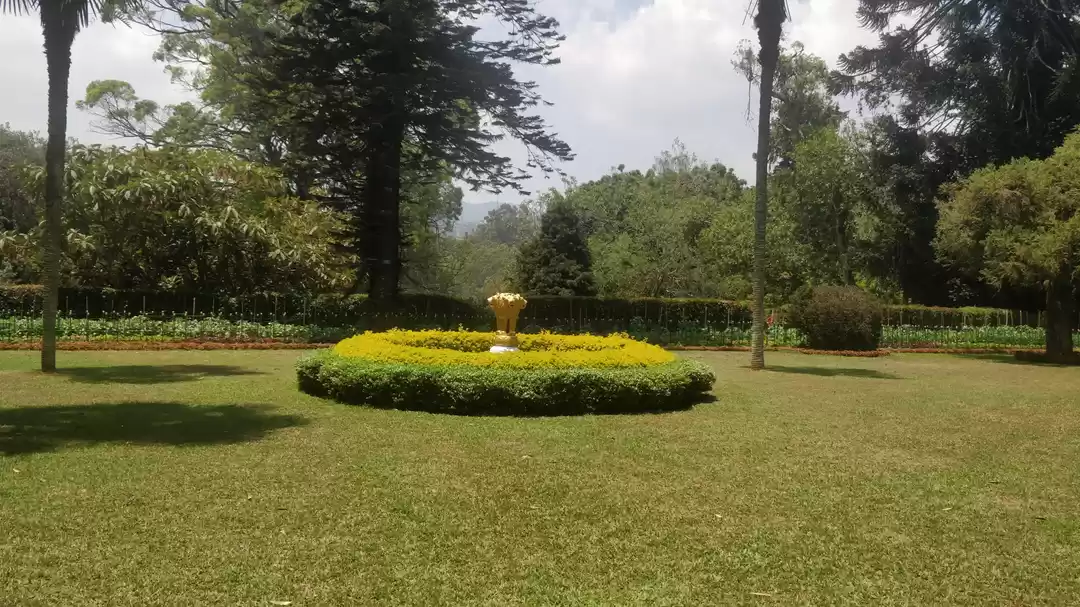 Photo of Exquisite Sim's Park