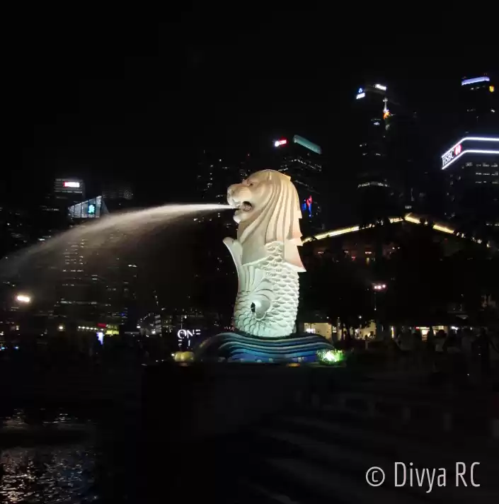 Photo of Top Things to do whe