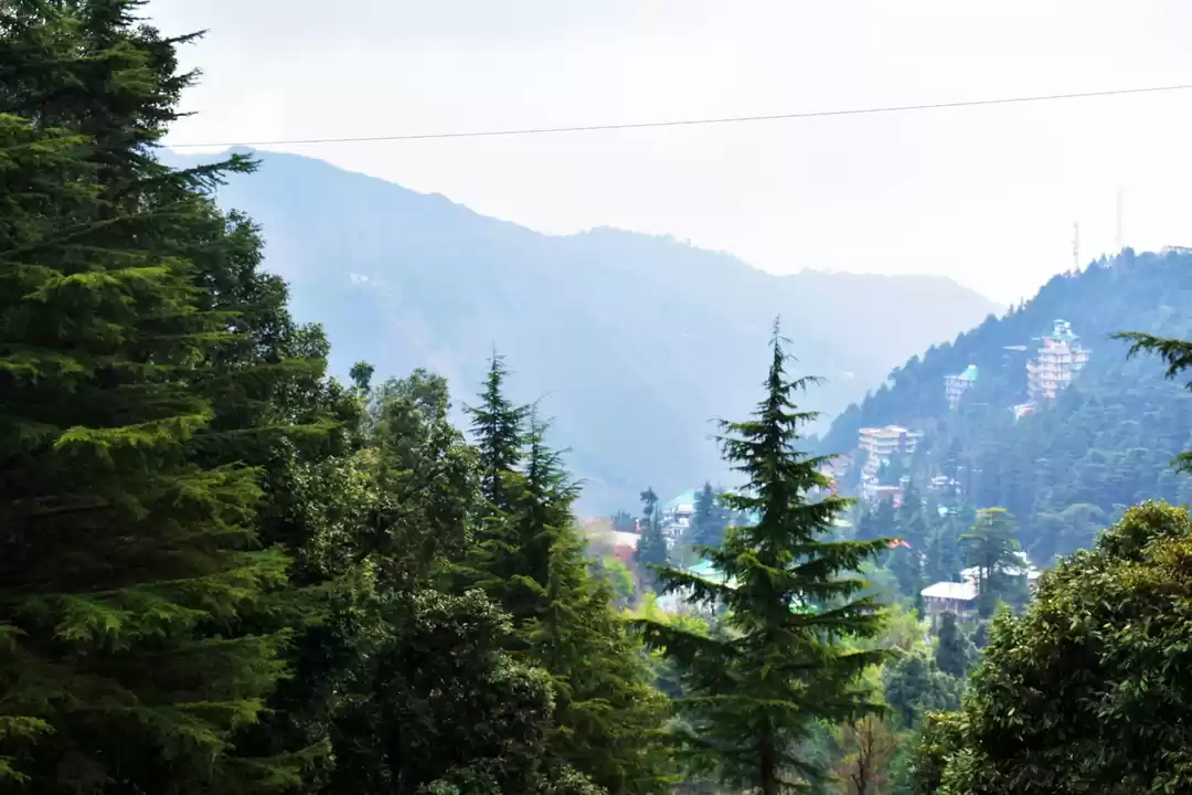 mcleodganj tour package