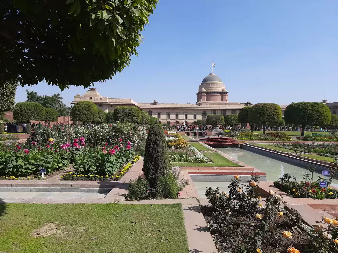 Photo of Friday on a Visit to