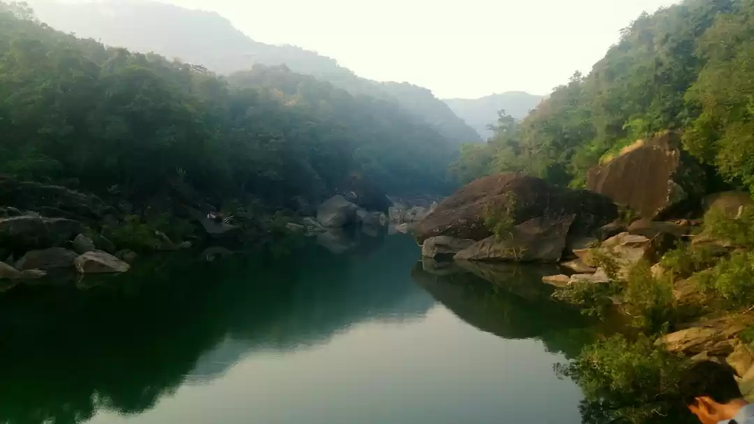 Photo of Falling in love with