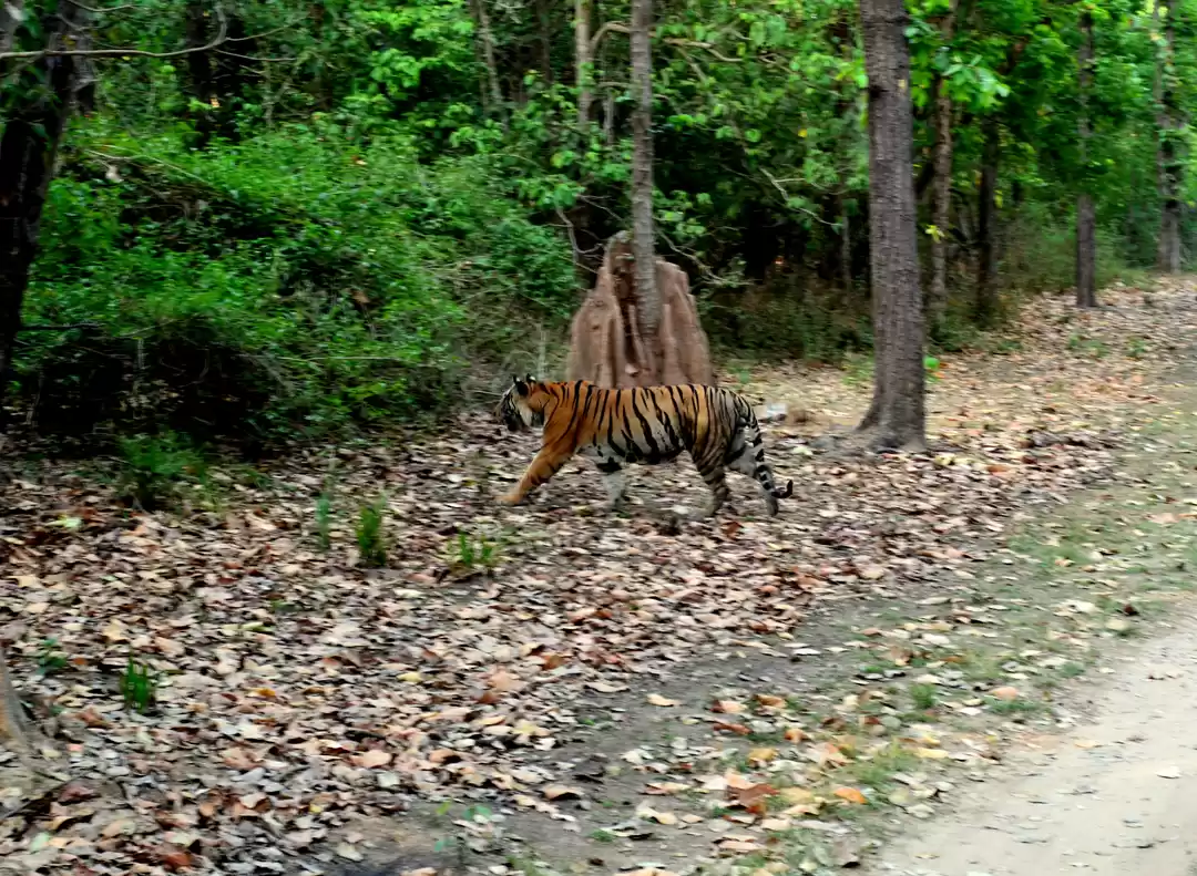 Photo of Heaven in the Wild! 