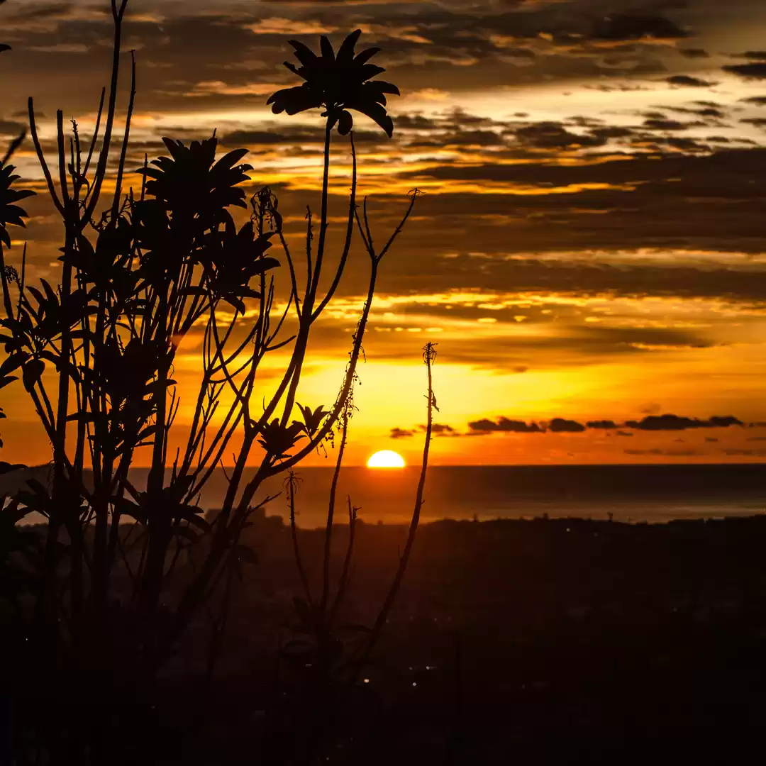 Photo of Postcard Sunset View