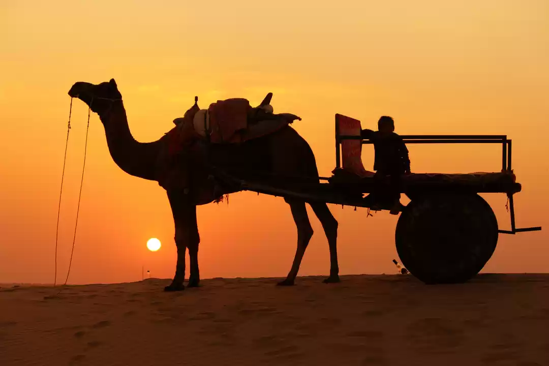 Photo of To the Far West of R