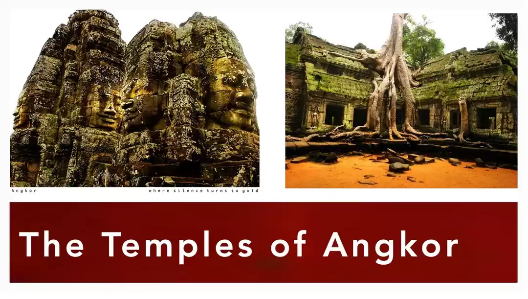 Photo of The Temples of Angko