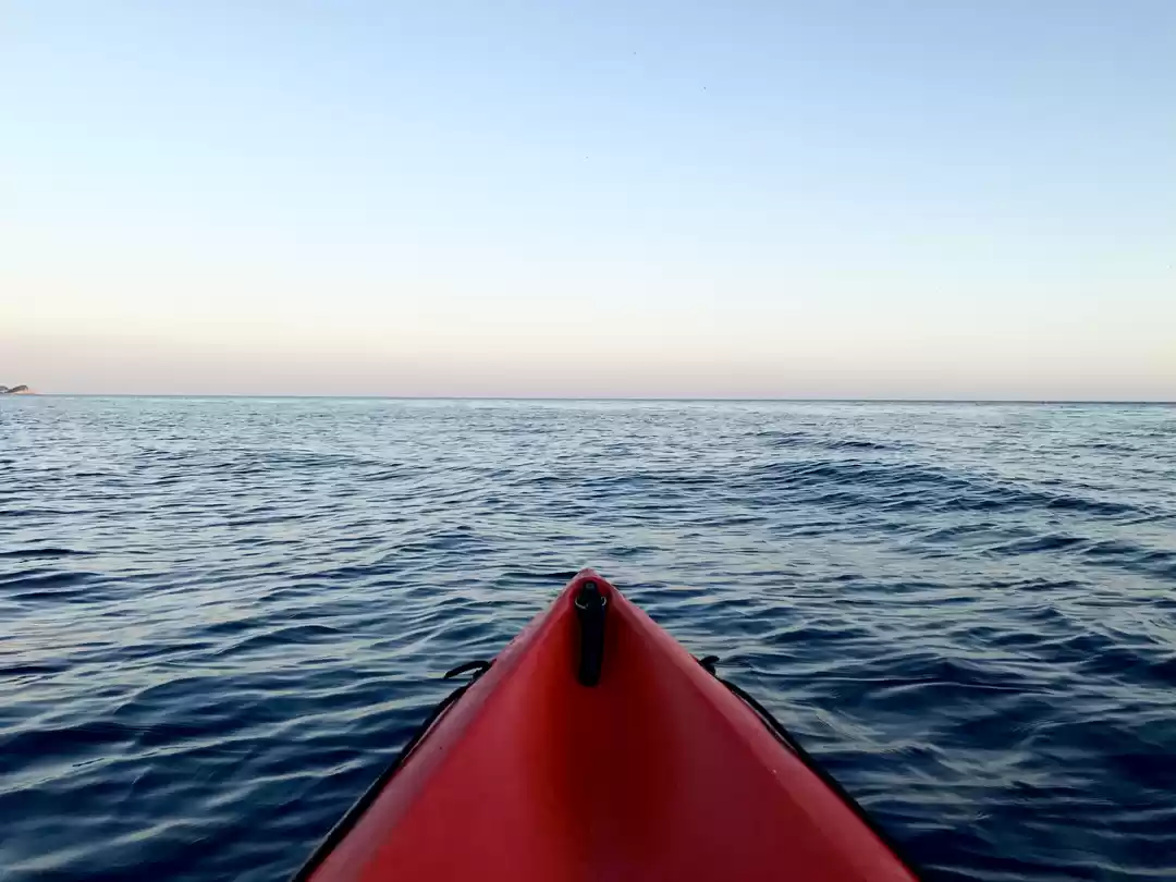 Photo of LESSONS FROM MY SOLO