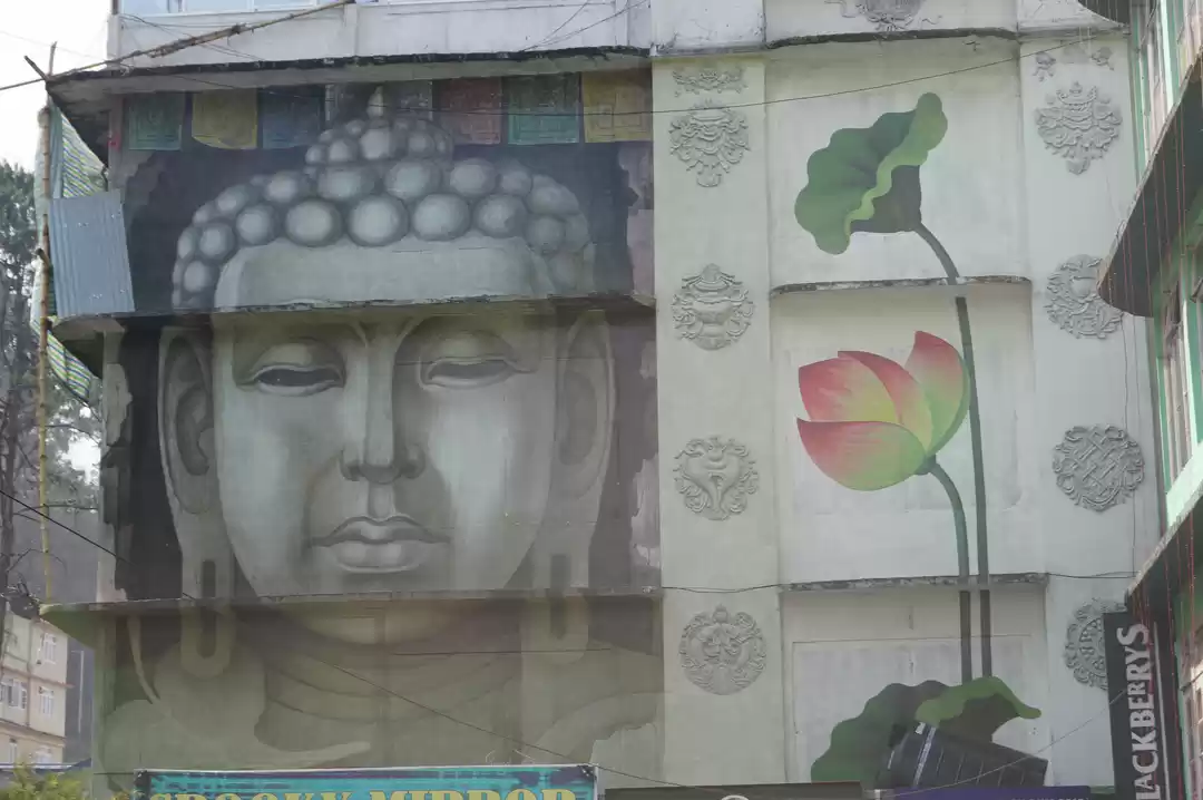 Photo of Sikkim Diaries...Sol