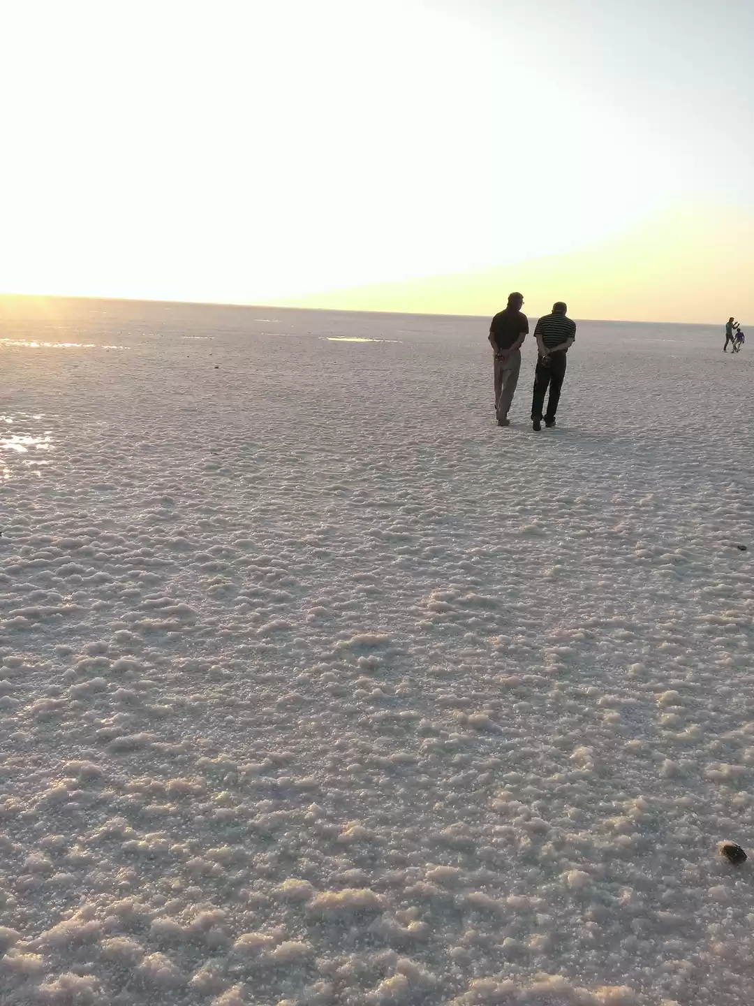 Photo of At the white salt de