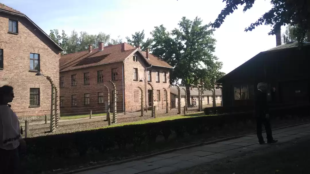 Photo of In Krakow's Killing