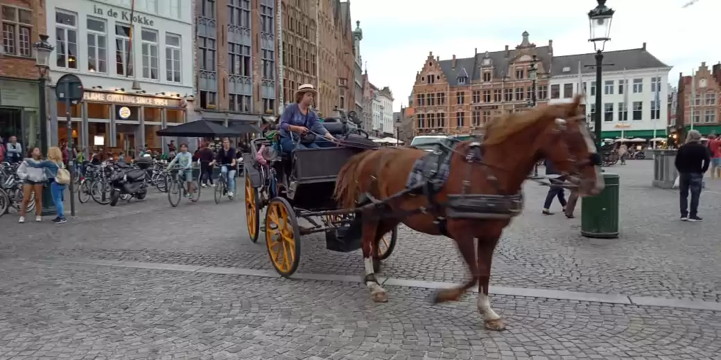 Photo of My First DIY Europea