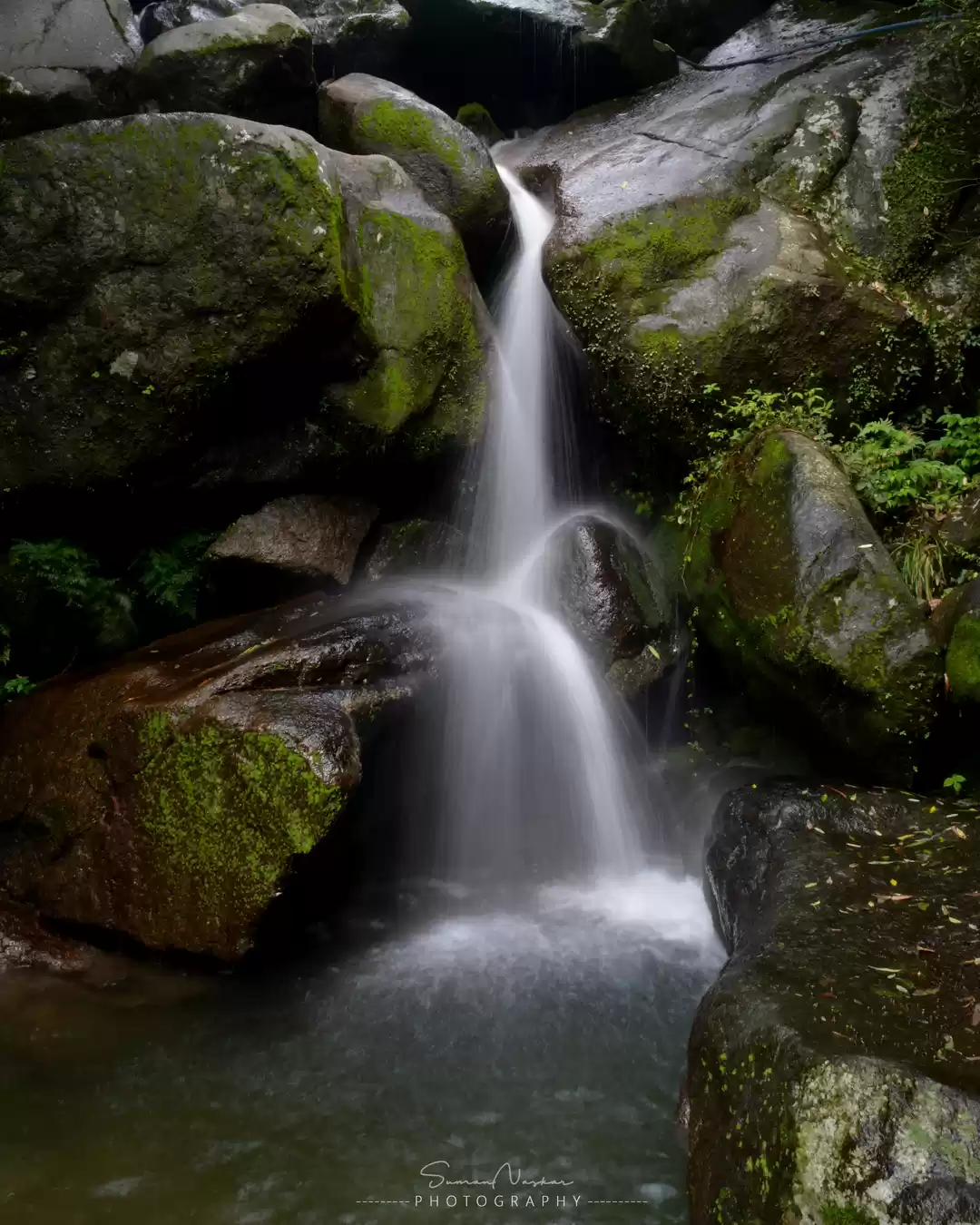 Photo of If its slow and take