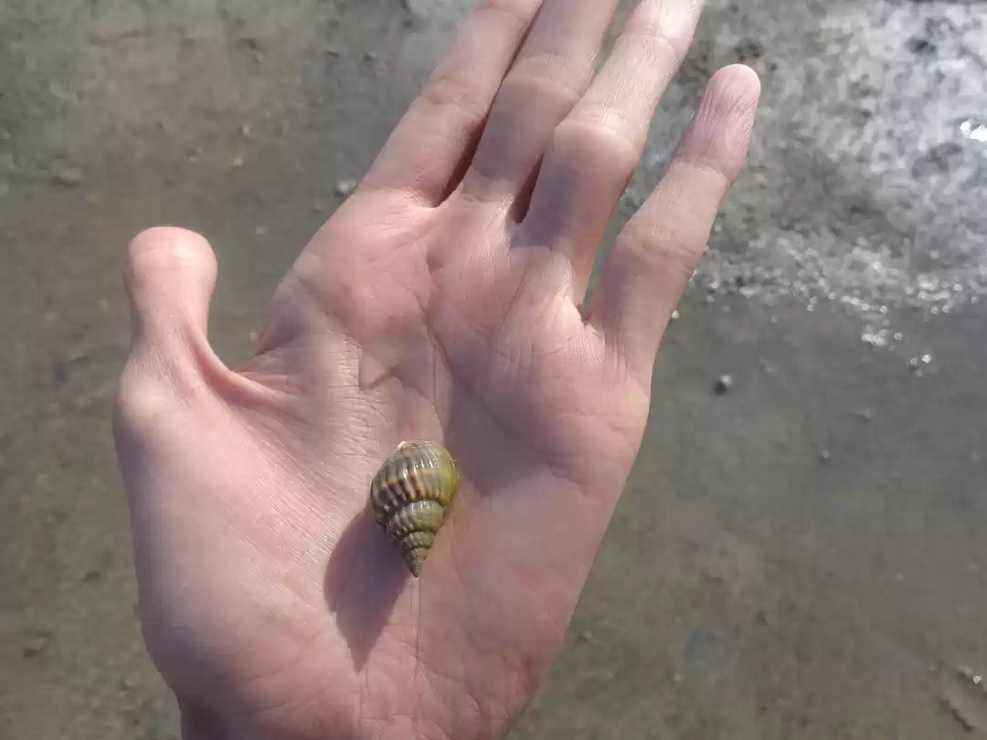 Photo of Best of Gujrat's nat