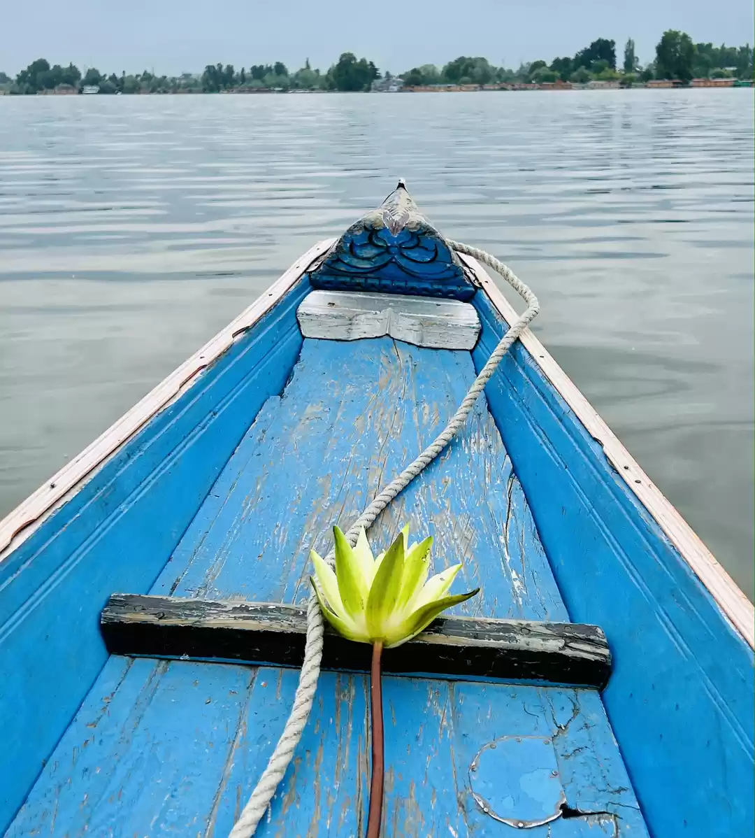 Photo of Ditch Dal Lake and C