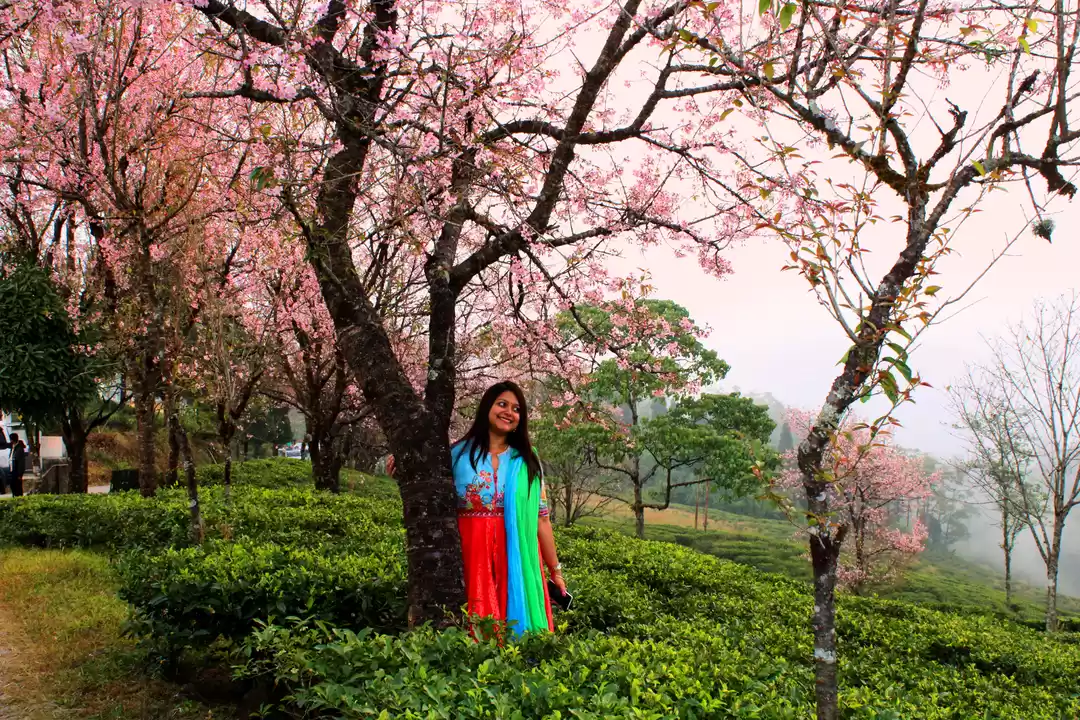 Photo of An Open Letter to Al