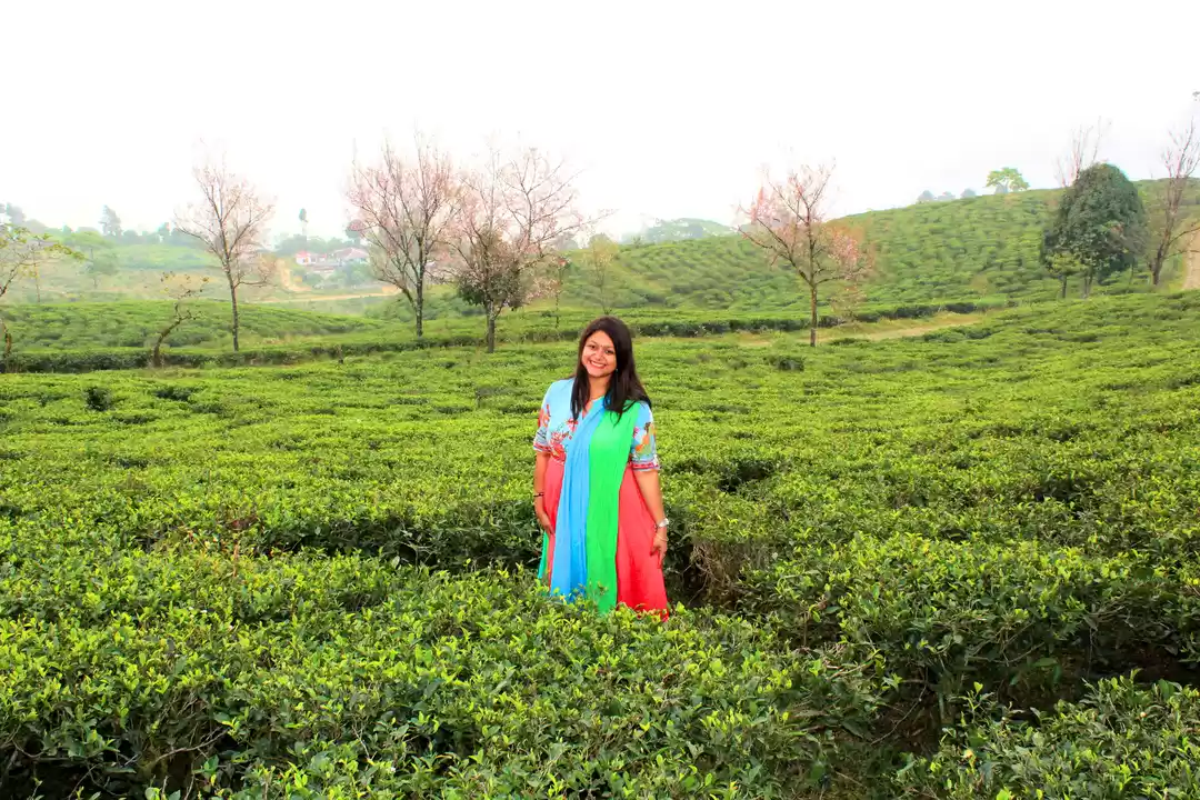 Photo of Unveil The Beautifu