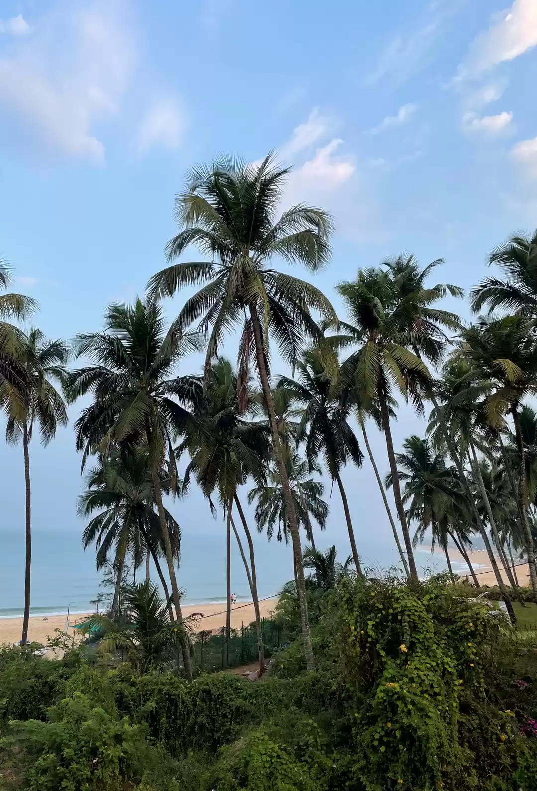 Photo of B.E.A.C.H: Best Esca