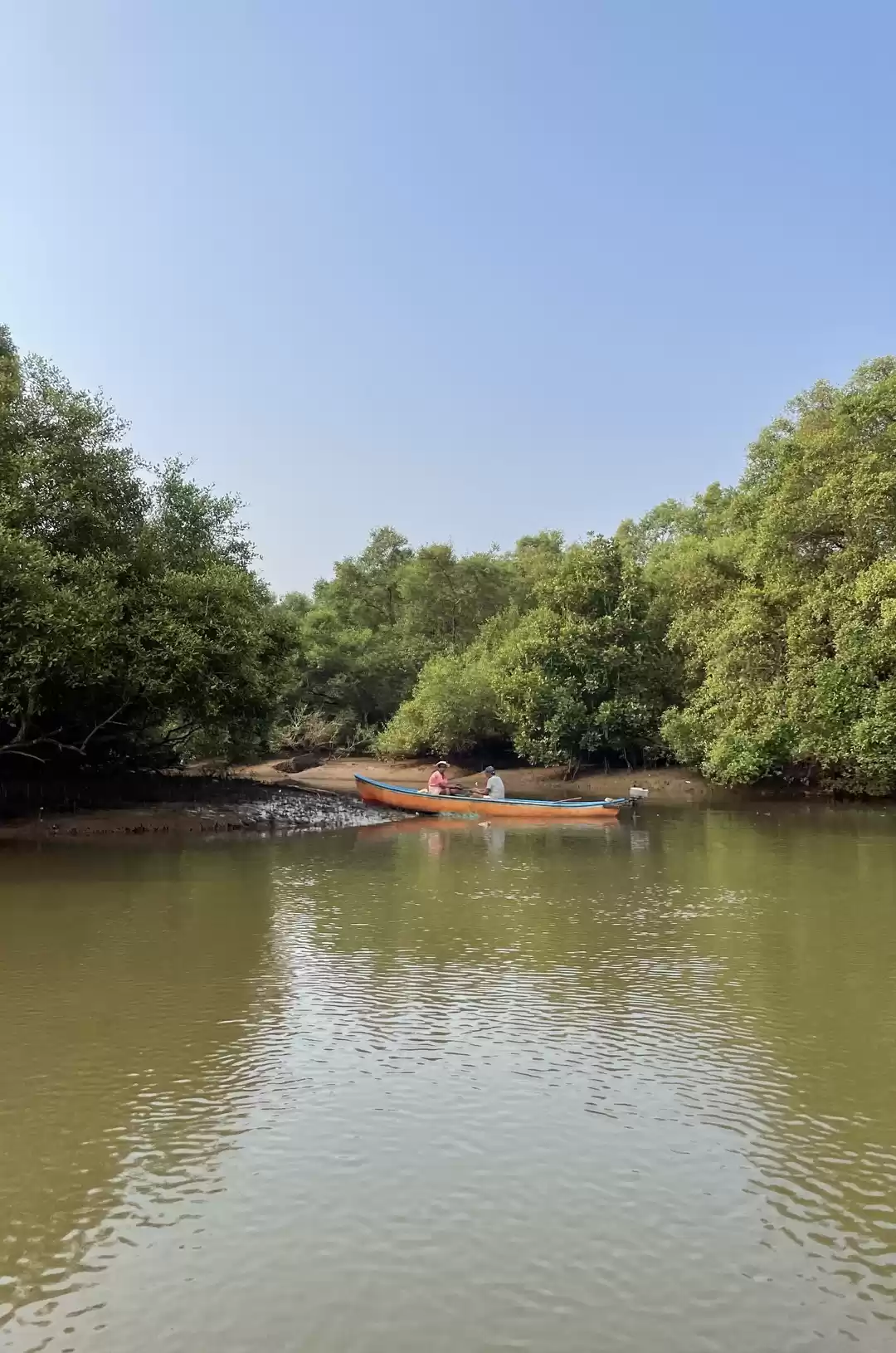 Photo of If I Could Just Paus