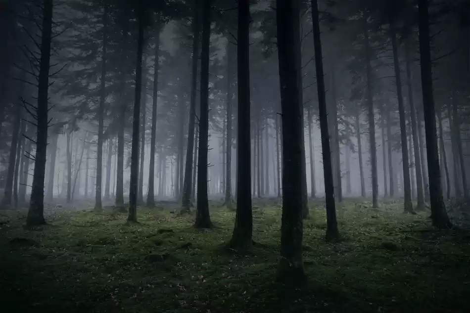 Photo of These Spooky Stories