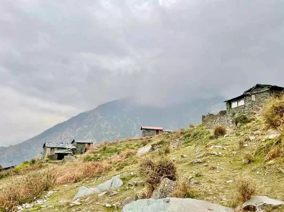 Photo of Still No Plans for t