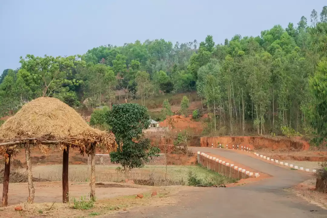 Photo of Ecotourism in Odisha