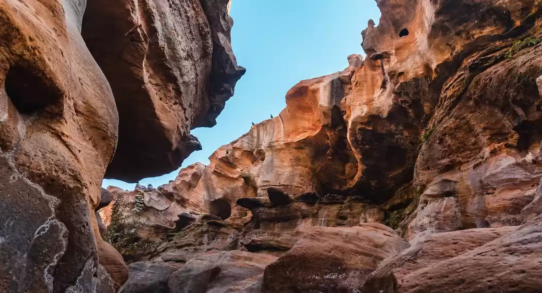 Photo of OUR VERY OWN INDIAN-