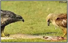 Photo of An Unexplored Destin