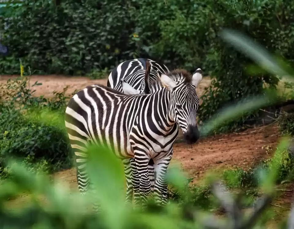 Photo of Where the Wi-Fi isn'