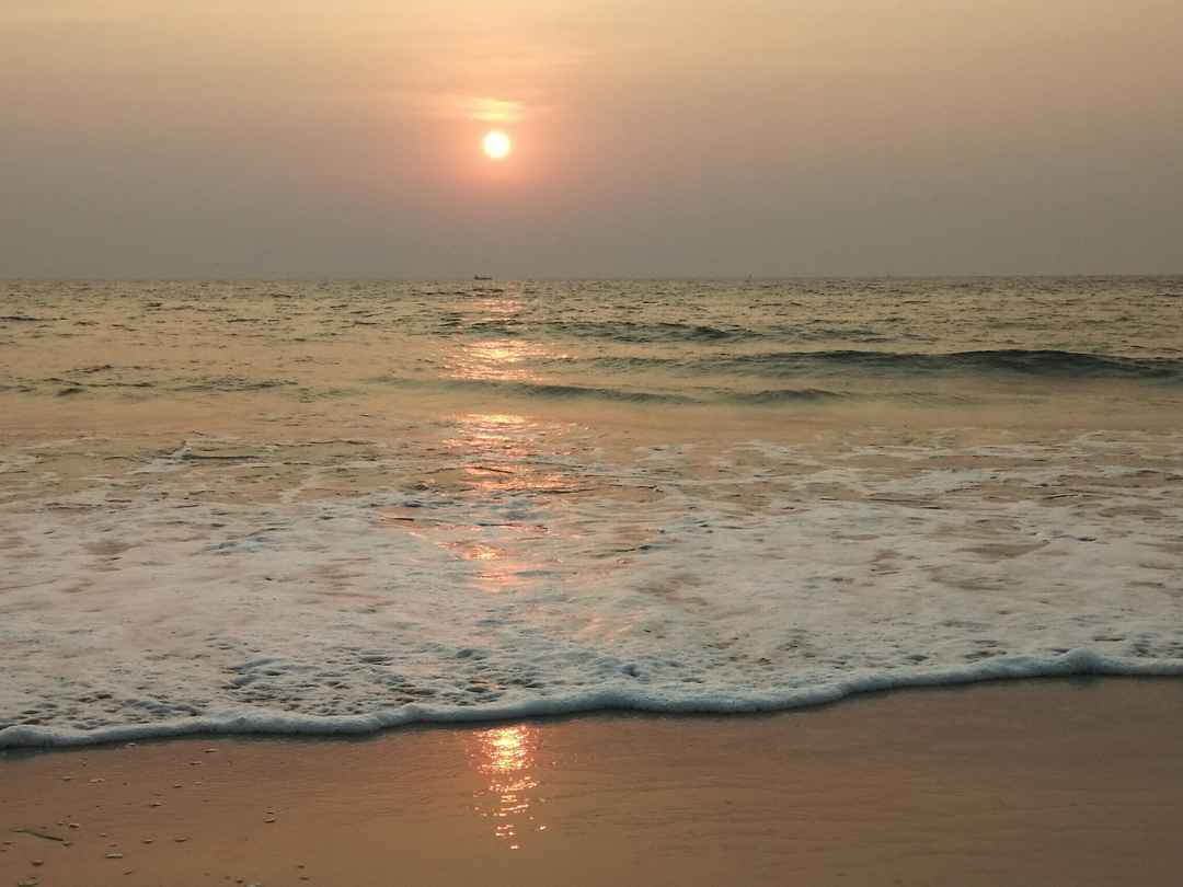 How To Book Your Safari For Bandhavgarh Tiger Reserve Tripoto If you are not sure what the numbers are, either enter your best guess or click on the refresh button to 'get new image' placed beside the image.