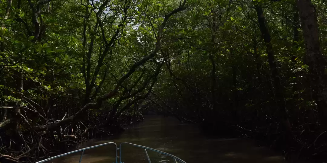 Photo of The Jarawas : Adivas