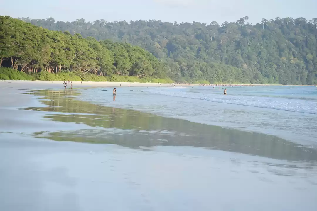 Photo of A Vegetarian in Anda