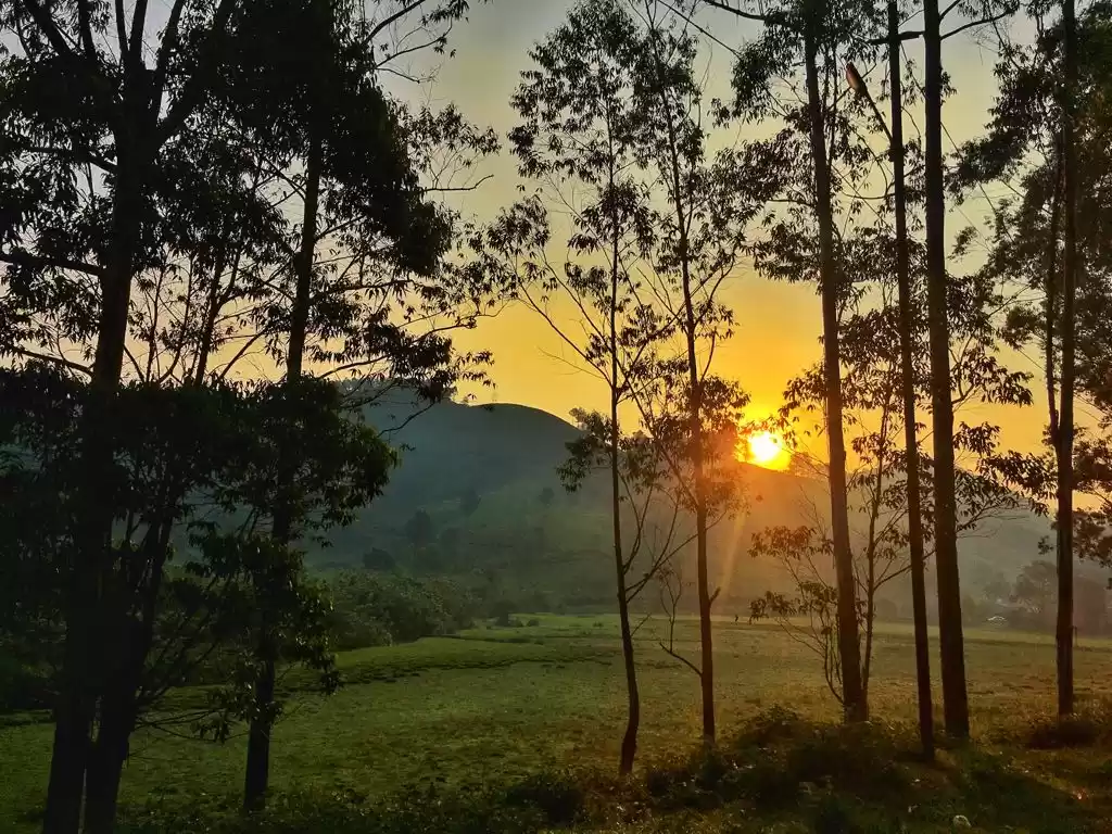 Photo of Exploring Munnar the