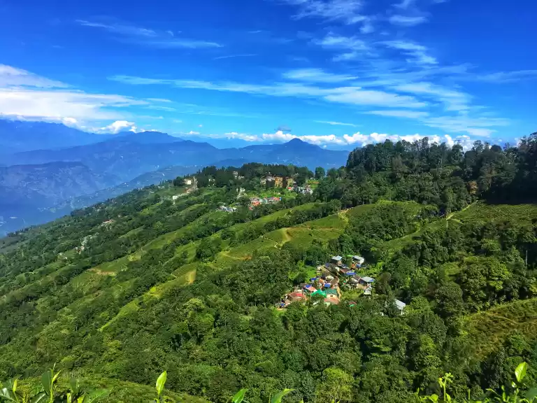 Photo of Darjeeling : Where s