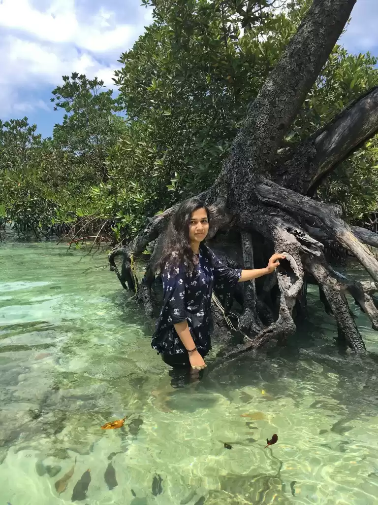 Photo of Havelock island : A 