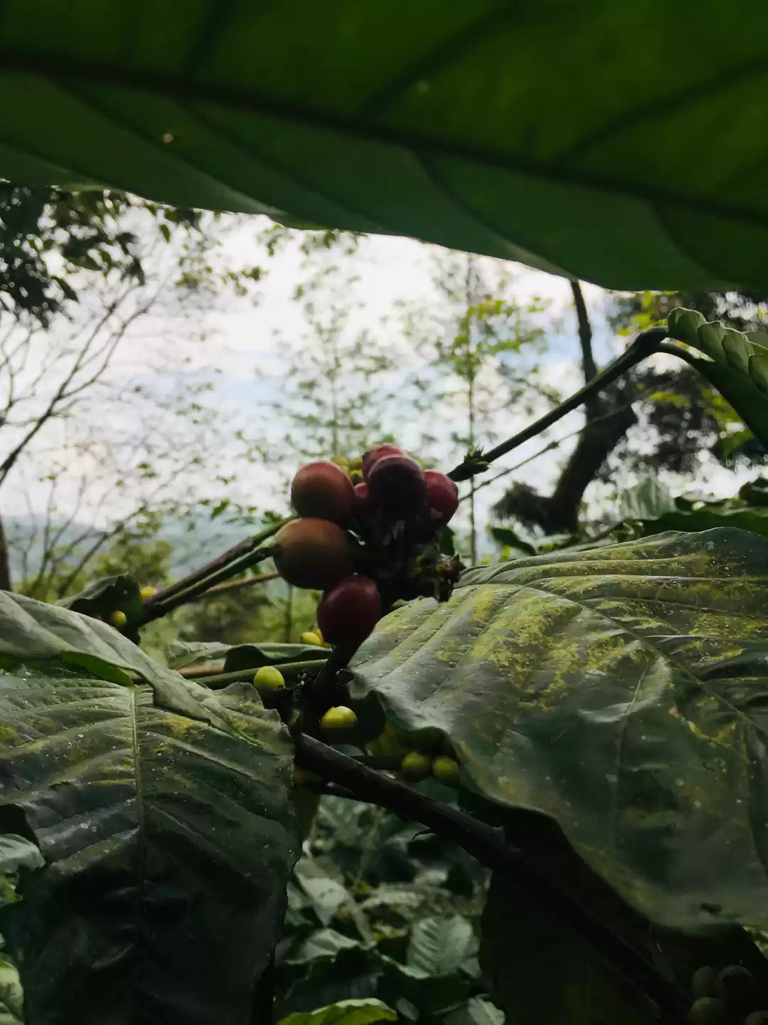 Photo of Solo girl backpackin