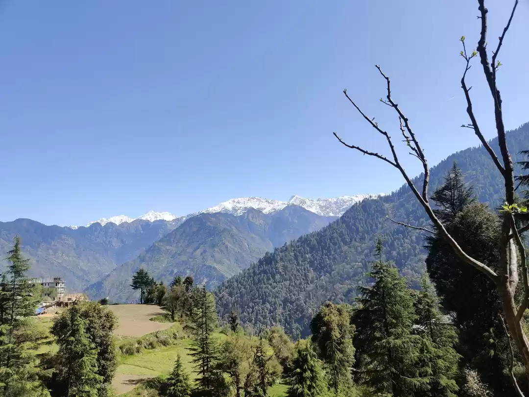 Photo of Shangarh is bound to