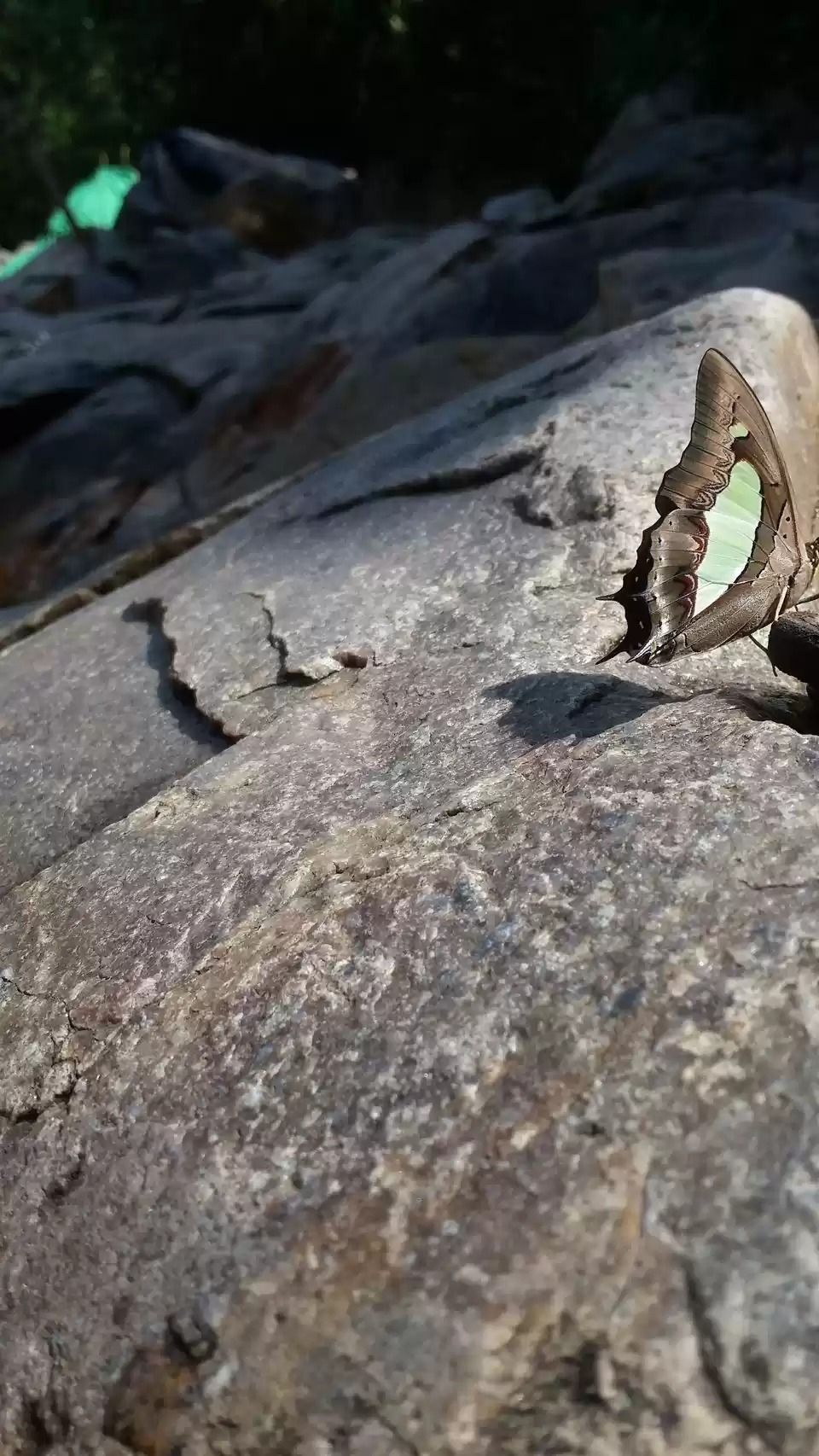 Photo of Mystical Nagalapuram
