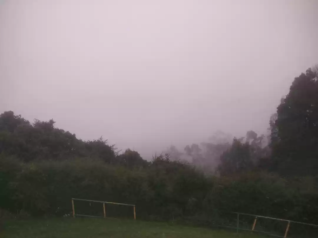 Photo of Ooty the An ode of S