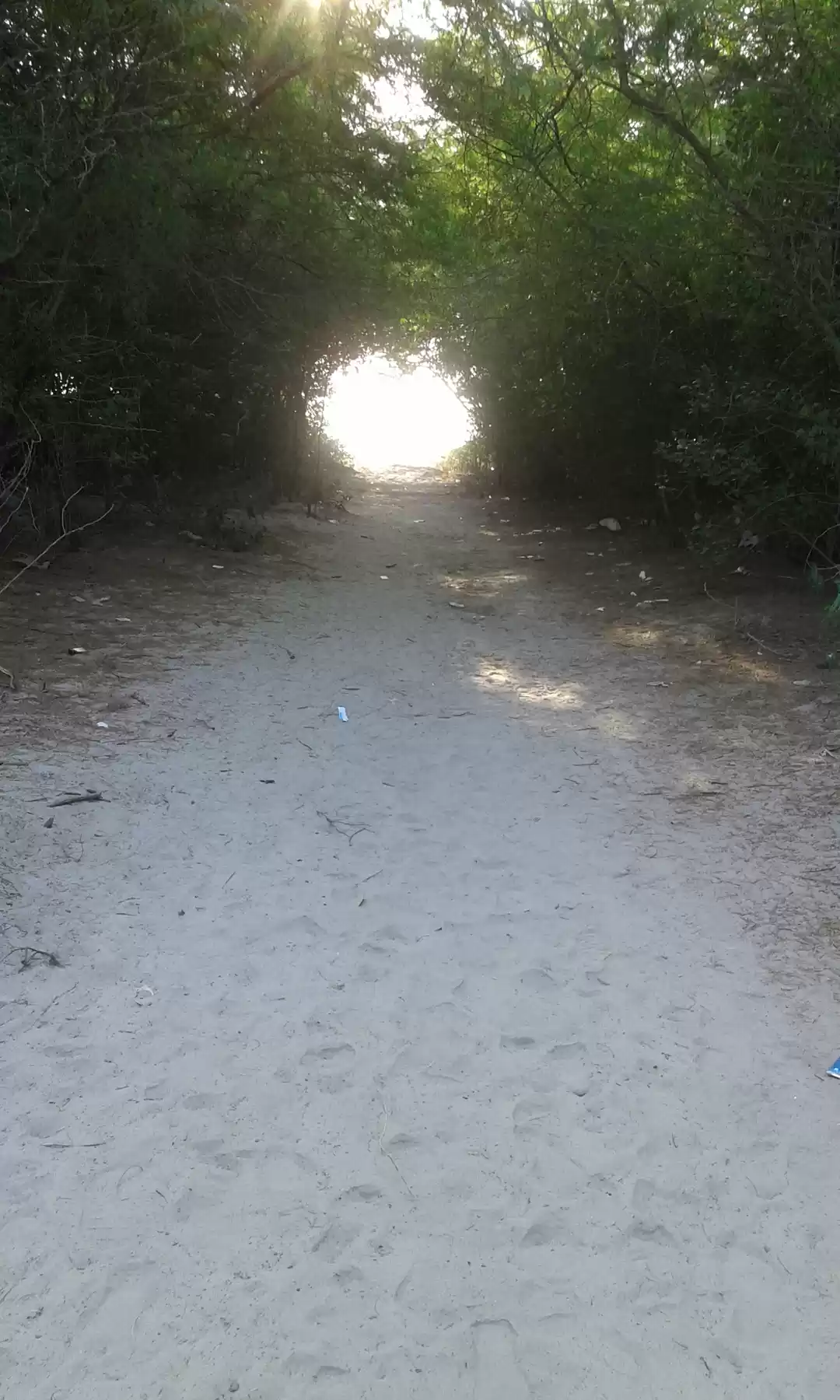 Photo of Henry’s Island: A Fo