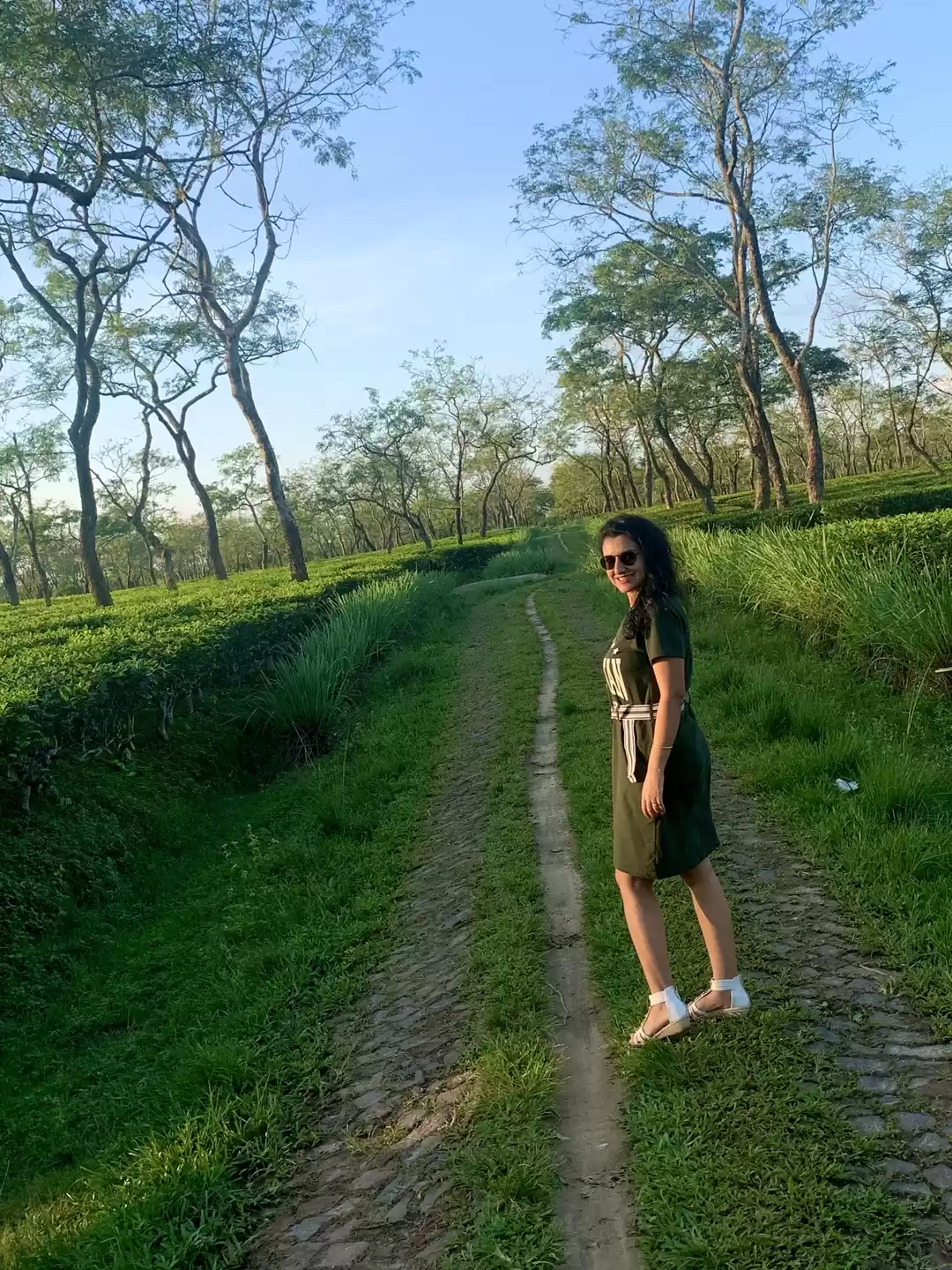 Photo of Assam Tea Gardens ☕️