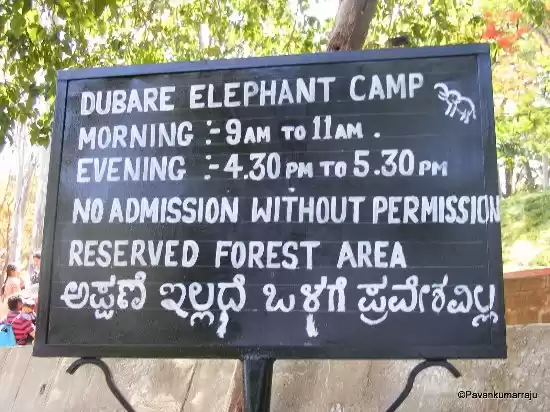 Photo of Connect with Elephan