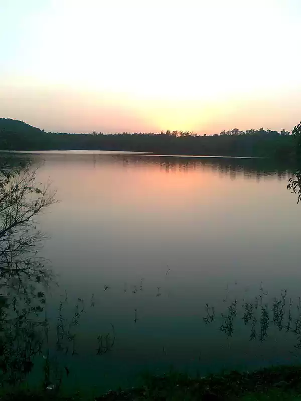 Photo of Skip Mahabaleshwar f